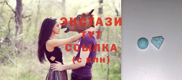 мдпв Богородск