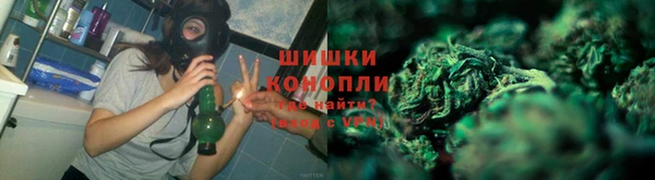 ГАЛЛЮЦИНОГЕННЫЕ ГРИБЫ Белокуриха