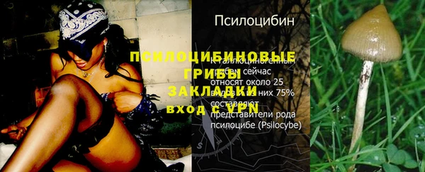 ГАЛЛЮЦИНОГЕННЫЕ ГРИБЫ Белокуриха