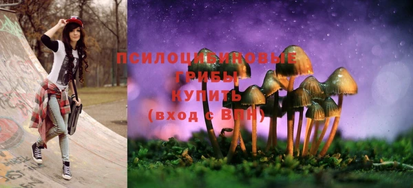 меф Богородицк