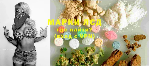 мдпв Богородск
