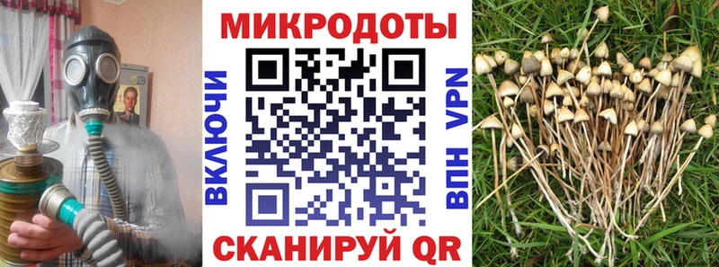 Галлюциногенные грибы прущие грибы Кузнецк