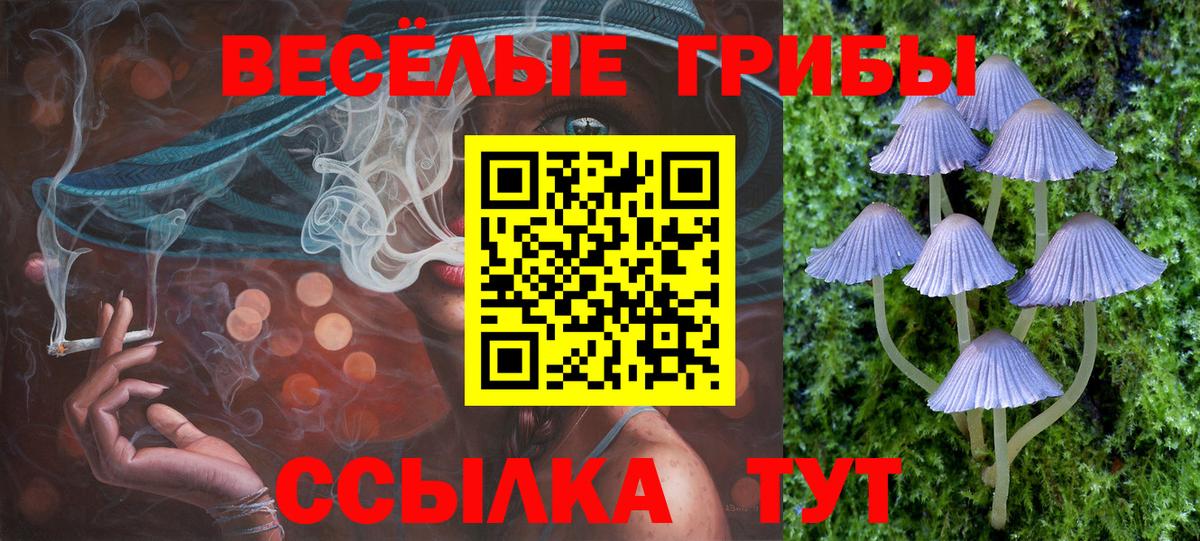Галлюциногенные грибы MAGIC MUSHROOMS  Вход с VPN  Кузнецк  Псилоцибиновые грибы мицелий 