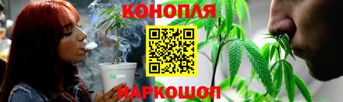 Марихуана MAZAR  Вход с VPN  Шишки марихуана марихуана  Канабис планчик  Кузнецк 